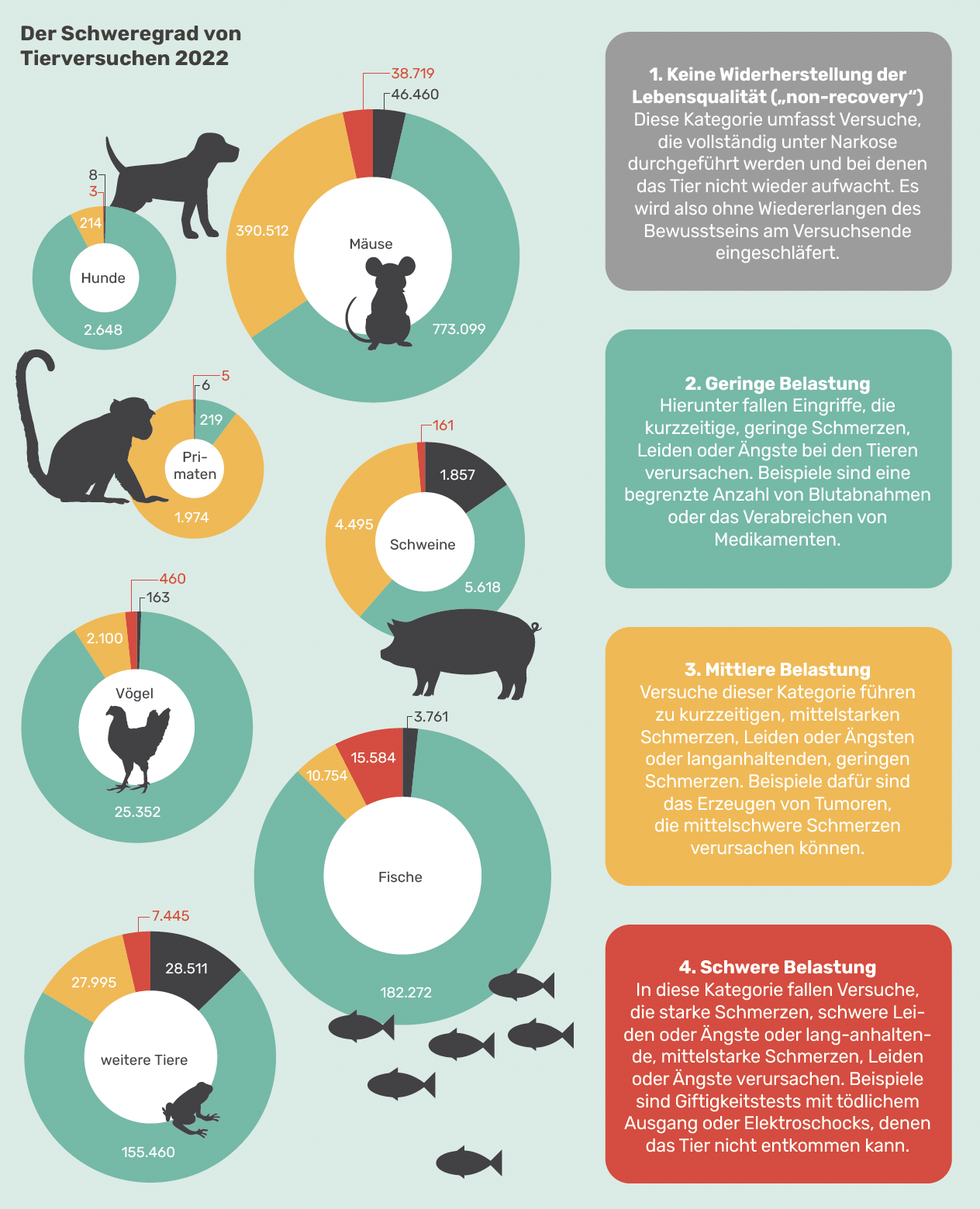 Naturkind Magazin Gestaltung, Agentur