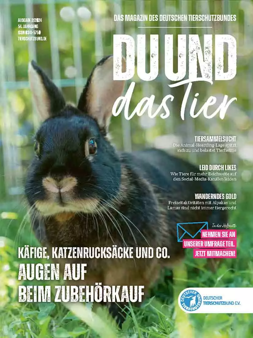 Du und das Tier, Mitgliedermagazin Gestaltung