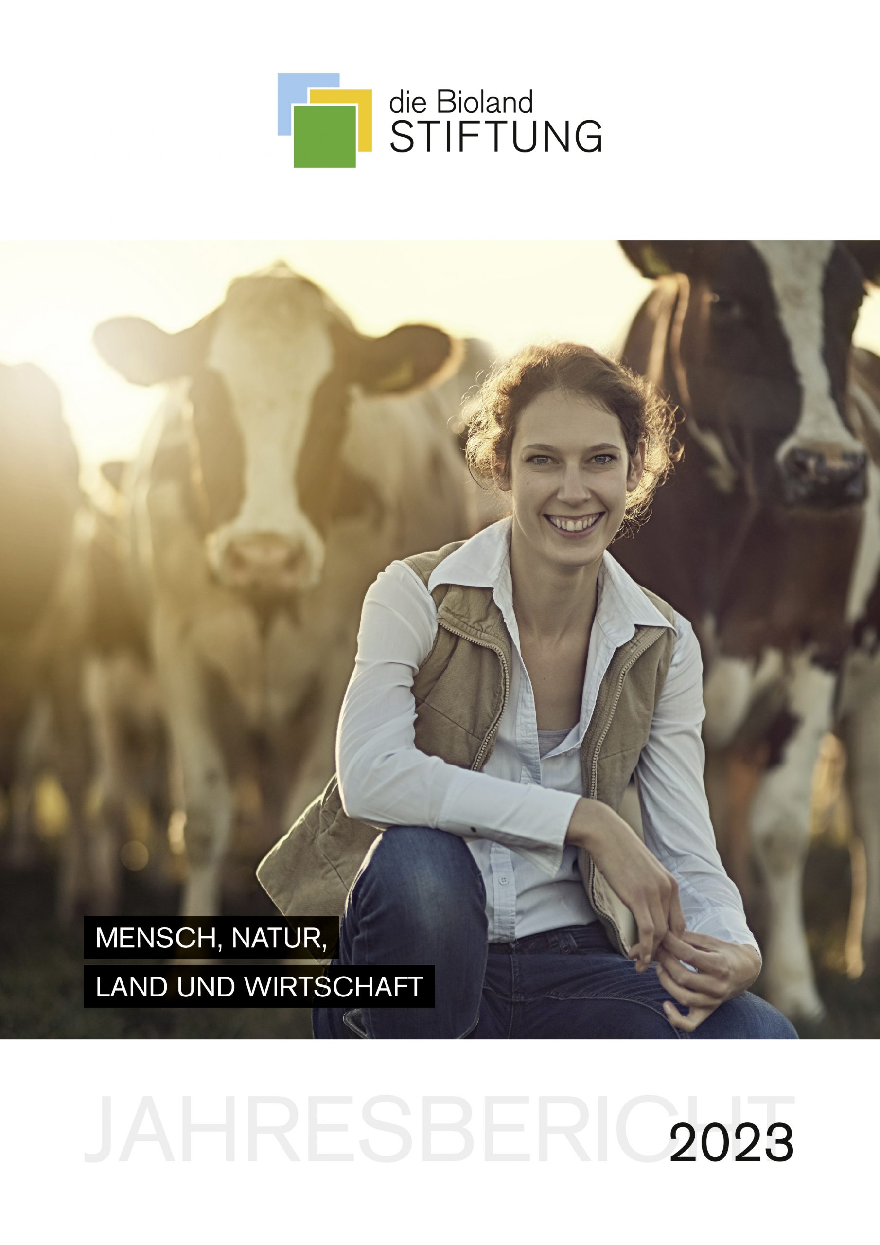 Jahresbericht Gestaltung Agentur