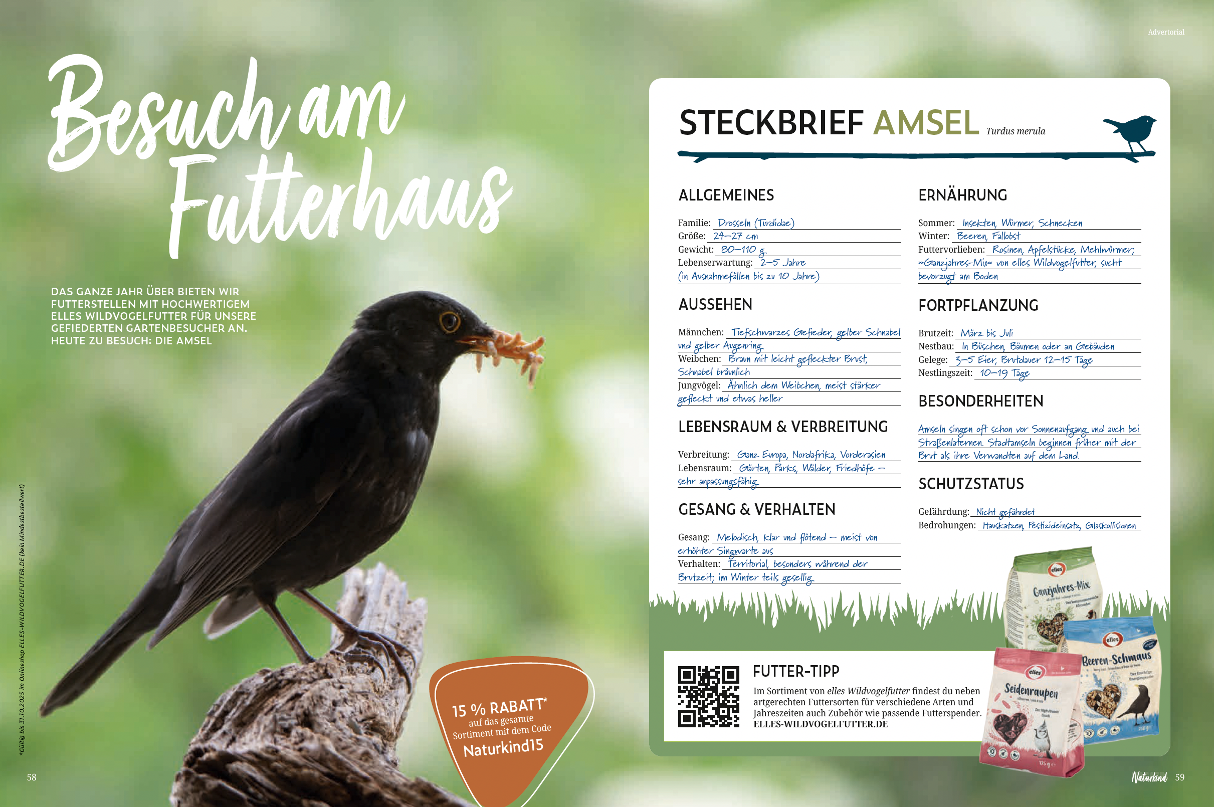 anzeige-erstellen-lassen Advertprial gestalten lassen Grafiker